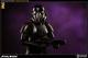 Blackhole Stormtrooper Exclusive Premium Format Statue Sideshow Star Wars Darth