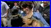 Triumph The Insult Comic Dog Star Wars Outtakes